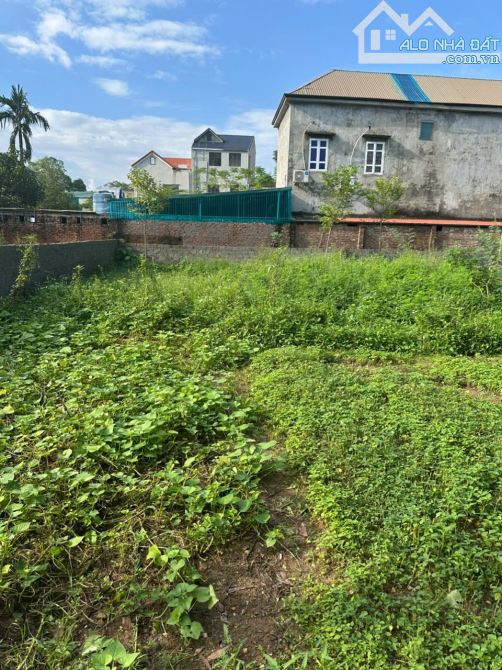 Bán đất khoáng nóng Bảo Yên, Thanh Thuỷ, Phú Thọ, 203m2, mặt tiền 10m - 3