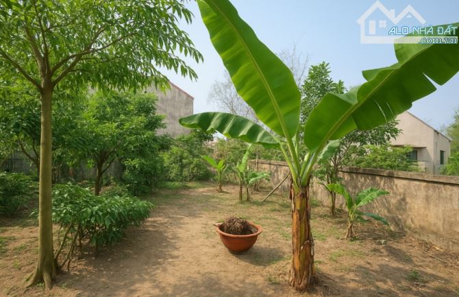 Đất đẹp, Giá rẻ ở Nhị Khê, Thường Tín - 1