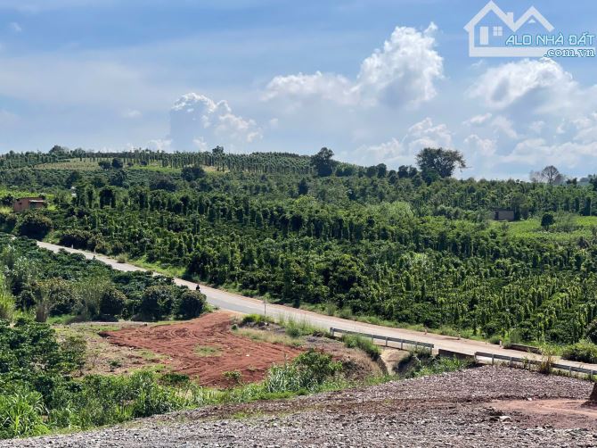 Bán 1000m2 đất xã tân hà -lâm hà lâm đồng 630 triệu có 100m2 đất ở sổ riêng - 1