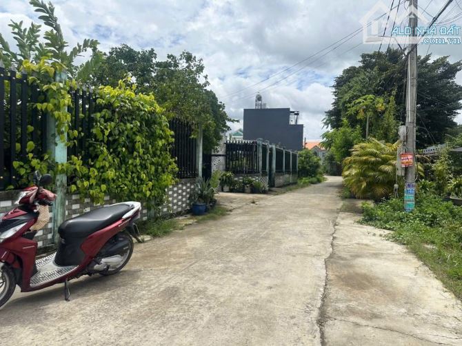 bán 148m2 đất thổ sổ hồng đường giồng lớn vào xã mỹ hạnh nam đức hoà 1,3tỷ - 1