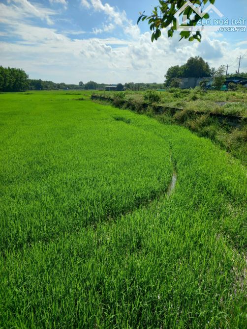 23x40m  161m thổ cư giá 2ty4 Tân Thắng Hàm Tân, Bình Thuận - 1
