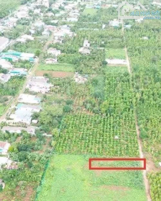🧰Đất Phường Tân An QL26 km12 còn sót 1 lô giá rẻ - 1