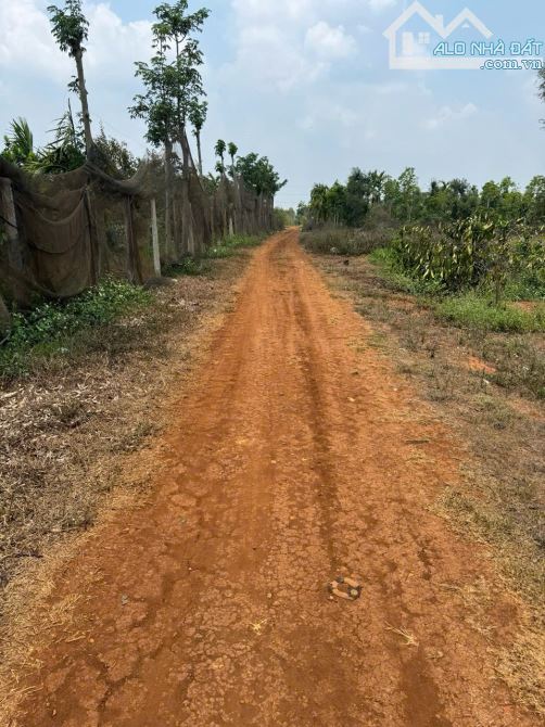 Bán đất giá đầu tư sổ riêng Cuor Đăng - 1