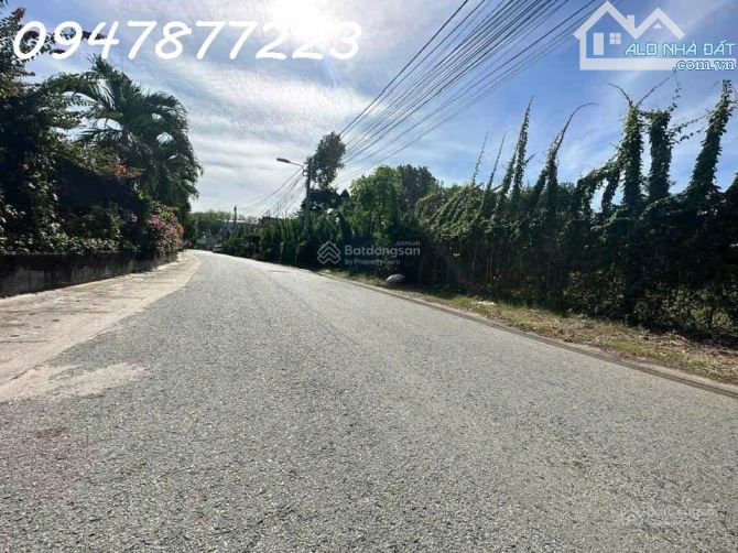 Bán đất ngang 8,8m đường ĐX17, phường Phú Mỹ cũ (nay là P. Bình Dương), TP. HCM - 1