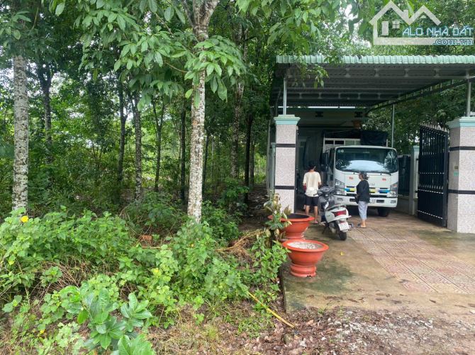 BÁN ĐẤT NỀN BÀU BÀNG, TẶNG CĂN NHÀ CẤP 4, GIÁ RẺ NHẤT THỊ TRƯỜNG NGAY KHU CHỢ - 1