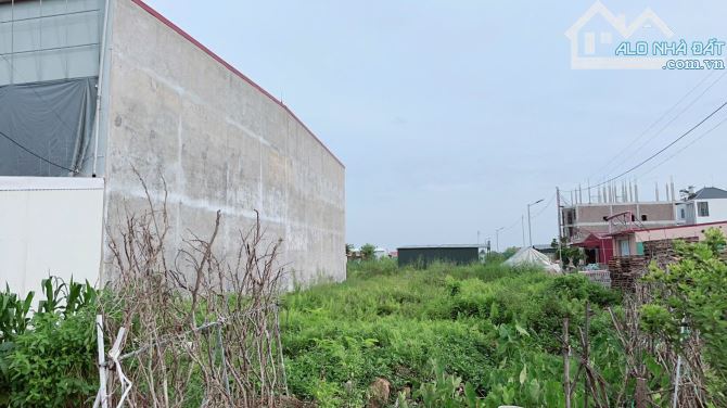 Bán đất Minh Tân - Kiến Thụy - Hải Phòng - 1