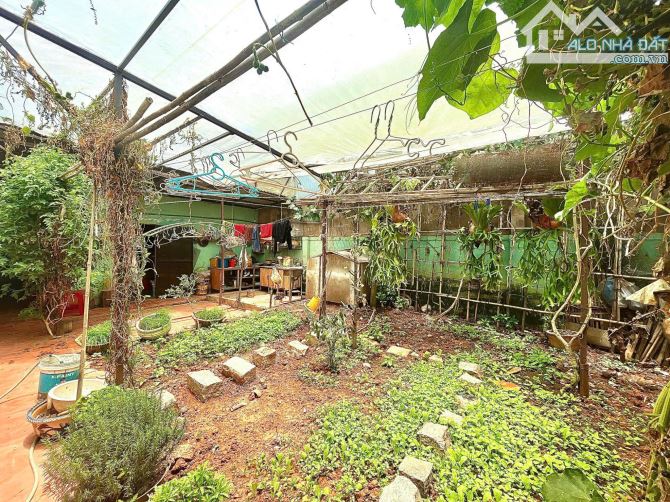 NHÀ CẤP 4 SÂN VƯỜN PHƯỜNG LÂM VIÊN, CÁCH HỒ XUÂN HƯƠNG 1KM - 1