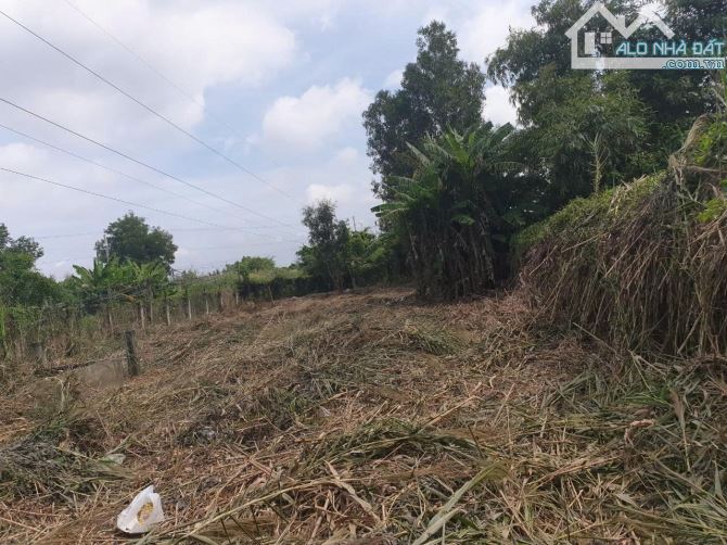 Đất Vườn  500m2 Hẻm 1991 Lê Văn Lương, Nhà Bè-Giá Chỉ 7,4triệu/m2. - 1