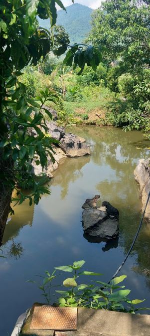 Chỉ 1,x tỷ sở hữu ngay 2000m view tuyệt đẹp Kim Bôi Hòa Bình  cần bán gấp - 1