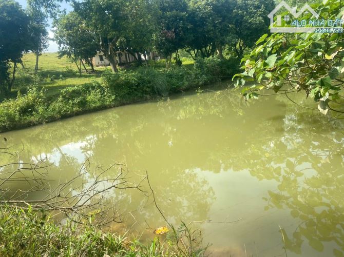 TẶNG 4000 M ĐẤT VƯỜN NGOÀI SỔ KHI MUA : 6000 M 0TN 400 M LƯƠNG SƠN       HÒA BÌNH  - GIÁ C - 1