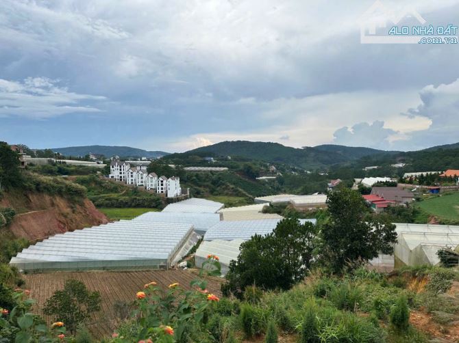 CHỦ NGỘP. GIẢM SÂU. ĐẤT KQH MANWGLIN. 751M2. 300M2 XD. GIÁ CHỈ 5,6 TỶ TL - 1