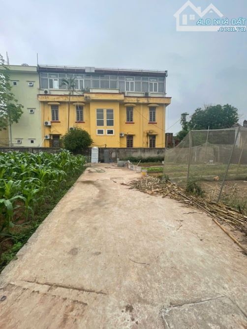 Rẻ nhất Chương Dương, Thường Tín ô tô vào đất giá 2ty060 - 1