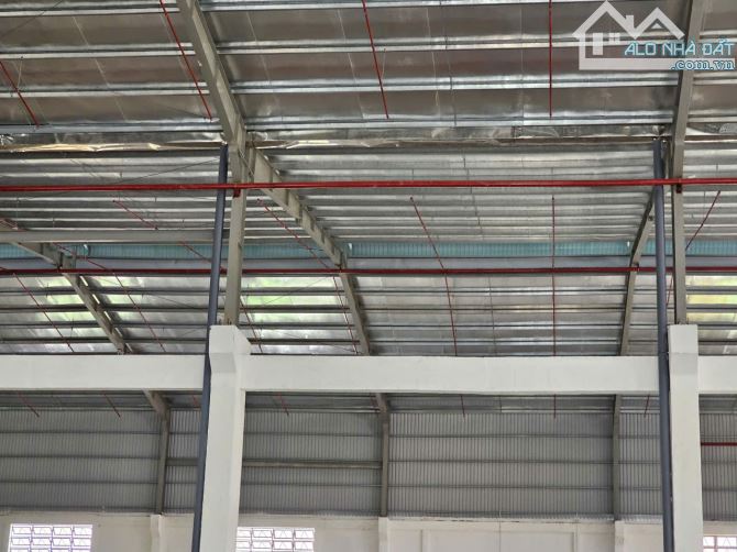 Cho thuê kho 2.800m² PCCC tự động, mới xây tại Trần Đại Nghĩa,Bình Tân - 1