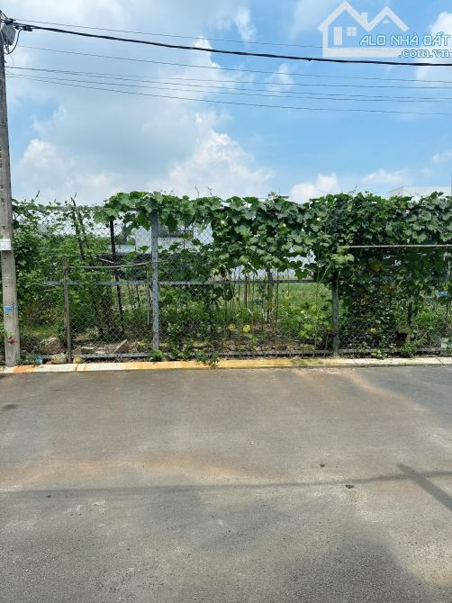 BÁN GẤP ĐẤT ĐÌNH PHONG PHÚ  -TĂNG NHƠN PHÚ A - THỦ ĐỨC 312M2 FULL THỔ CƯ - GIÁ 19 TỶ - 1