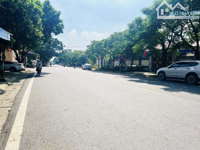 Bán lô đất 100m mặt đường 208  giá 4,xx tỷ - 1