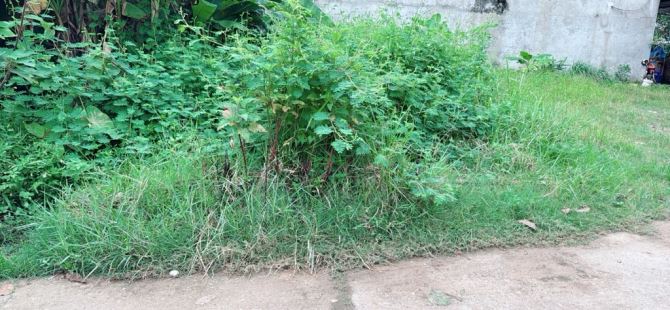 Bán đất Sóc Sơn cách qlộ 3 100 m giá chưa tới 3 tỷ - 1