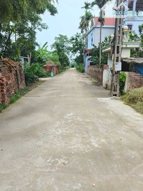 Bán đất Sen Phương Phúc Thọ 41 m2, ô tô vào đất, mặt tiền 4 m giá 1.25 tỷ. - 1