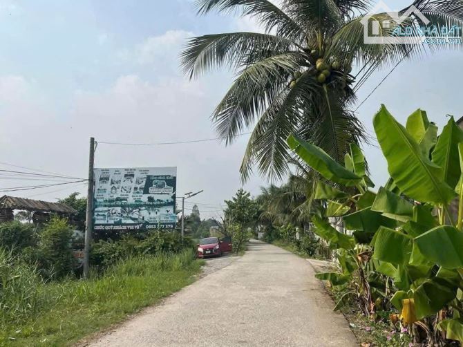 Nền thổ cư Tân Bửu Bến Lức nở hậu đường Bê tông giá chỉ 1ty250 - 1