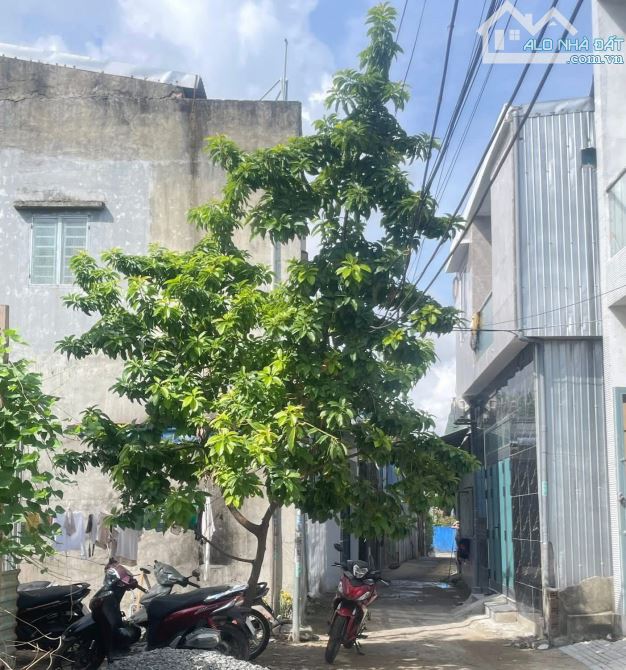 📌📌Làm việc trực tiếp!!! 🍀 Bán 2 lô đất K19/... Bùi Chát- Liên Chiểu giá rẻ 🌺 - 1