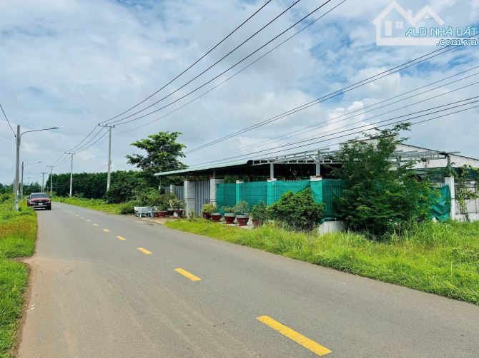 DÂN GỐC KẸT TIỀN BÁN SIÊU RẺ- NGAY CỔNG KHU CÔNG NGHIỆP ĐẤT ĐỎ- ĐƯỜNG TRƯỚC ĐẤT QUY HOẠCH - 2