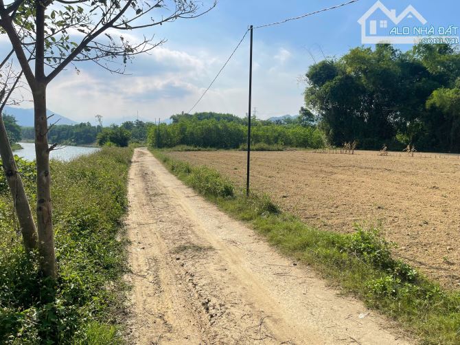 Đất view sông túy loan 1700m2, loại đất trồng cây hằng năm chưa có đất ở - 2