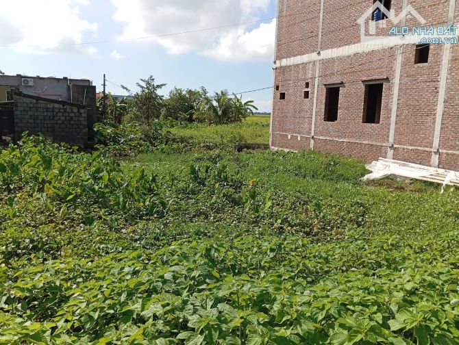 Siêu phẩm đất nghỉ dưỡng Quất Lâm giá rẻ 87m2. Đối diện quảng trường Biển - 2