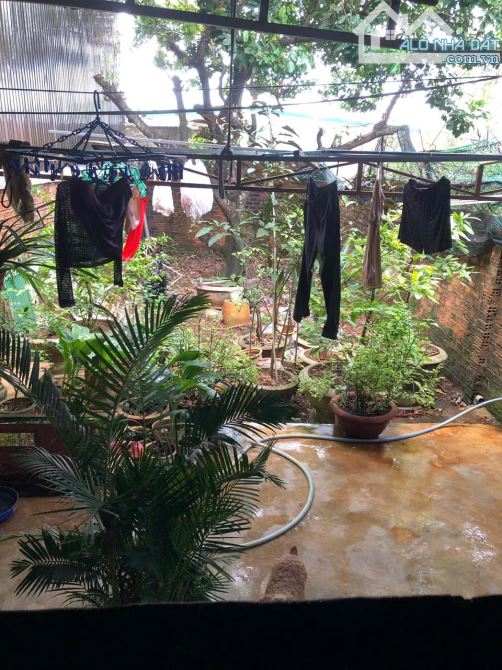 🌈🌟Nhà Mặt Tiền THỦ KHOA HUÂN - Thành Nhất (5x40m👉3.2 tỷ) - 2