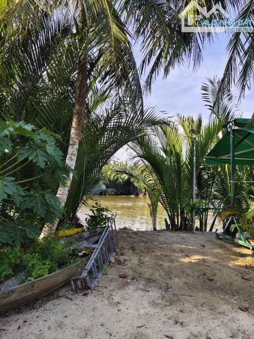 NGỘP BANK BÁN GẤP LÔ ĐẤT VIEW SÔNG CẨM THANH - HỘI AN - 2