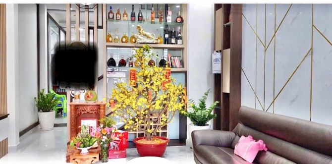 Khu Vip phân lô Lý Thánh Tông, dt 4.2x20, 5 Tầng giá 9 tỷ - 2
