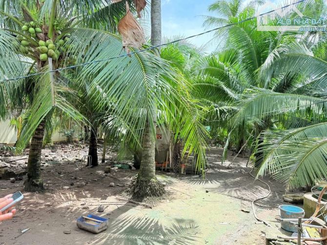 Bán 1243m2 đất mặt tiền đường nhựa gần chợ giữa - 2