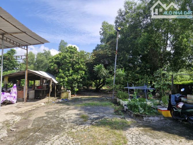Bán đất 1796.6m² ngang 16,2 giá 2x tỷ xã Tân Thạnh Tây, huyện Củ Chi - 2
