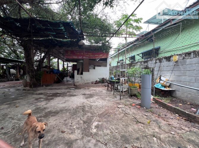 Bán 850m2 đất vườn Ngay Công Viên Vòng xoay Hùng Vương, kế bên cf The Hill - 2