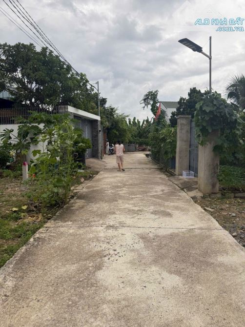 Bán Đất Phú Vinh - Vĩnh Thạnh - Cầu Bè - 2