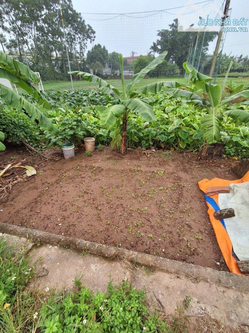 Đất đấu giá Biên Giang Hà Đông 61m oto đỗ cửa giá 3,5 tỷ - 2
