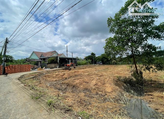 BÁN ĐẤT MẶT TIỀN ĐƯỜNG - TRUNG TÂM PHƯỜNG TÂN TRIỀU MỚI 300TR SỞ HỮU - 2