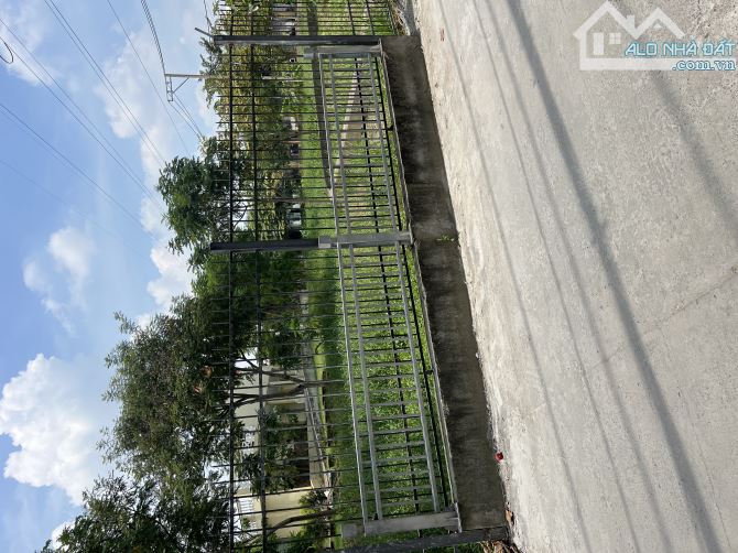💥HXH ĐẤT THÔNG SỐ ĐẸP AN PHÚ ĐÔNG Q12- DIỆN TÍCH 130 ( 5 x 26) HỆ SỐ XÂY DỰNG CAO- GIÁ CH - 2
