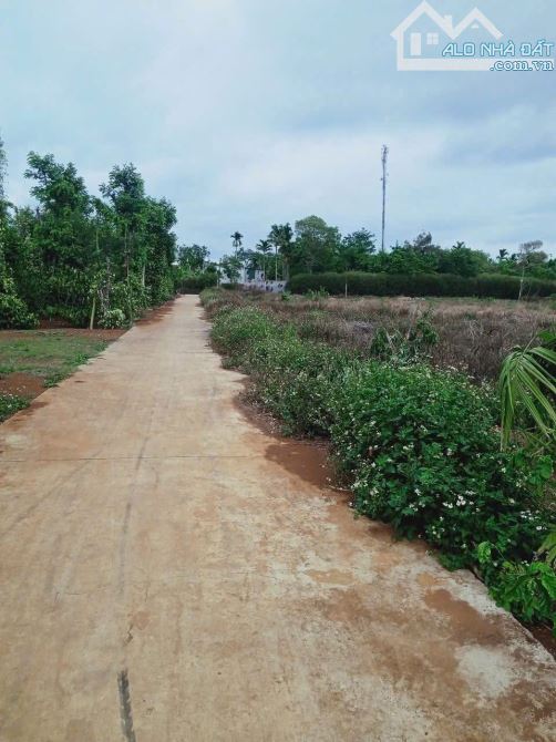 🧰Đất Phường Tân An QL26 km12 còn sót 1 lô giá rẻ - 2