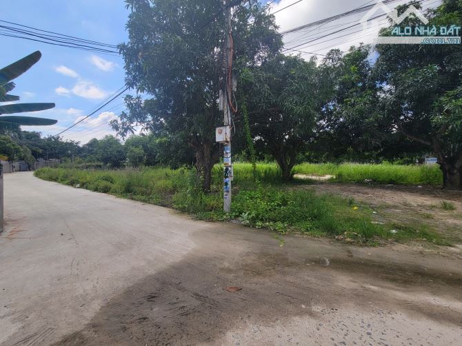 Bán đất full thổ cư Cam Lâm 1480m2 đường ô tô giá 11 tỷ - 2