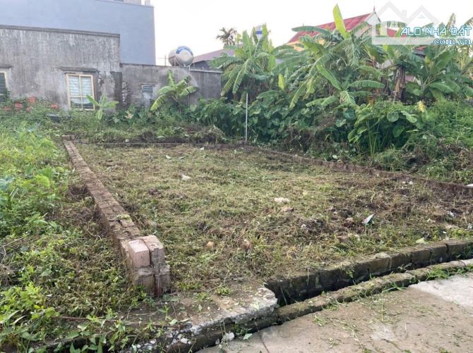 Bán lô đất đẹp đường thông tại Lâm Động chỉ 1,4x tỷ cách đường nhựa 30m - 2