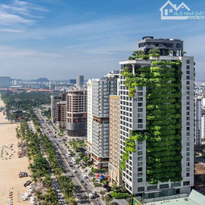 Bán Nhanh Cặp Đất Phố Tây An Thượng Còn Sót Lại-Giá Siêu Nét - 2