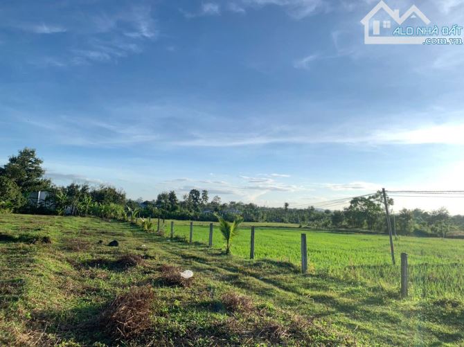 Bán 2,4 sào thổ cư 400 view ruộg cách đường nhựa 700m buôn Tiêu Xã Eatieu 1,2 tỷ - 2