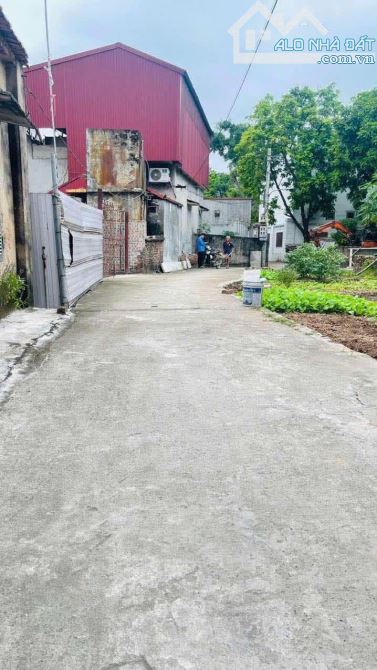 chỉ hơn 1 tỷ bạn sở hữu ngay lô đất đẹp tại thị trấn như quỳnh ô tô đỗ cửa - 2