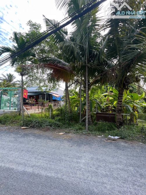 Lô đất 2 mặt tiền đường An Sơn 01 và An Sơn 32, ngay gần đường Vành Đai 3 (cầu Bình Gởi) - 2