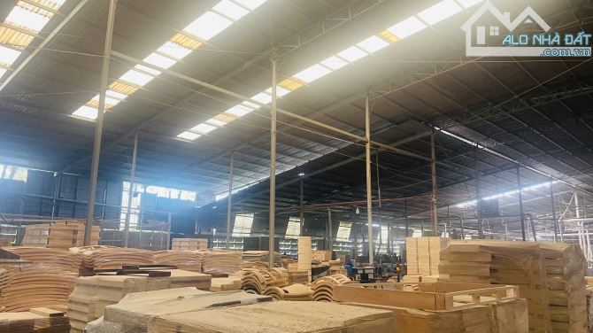 XT562 CHO THUÊ NHÀ XƯỞNG SẢN XUẤT – KHO CHỨA HÀNG. TP BIÊN HOÀ - 2