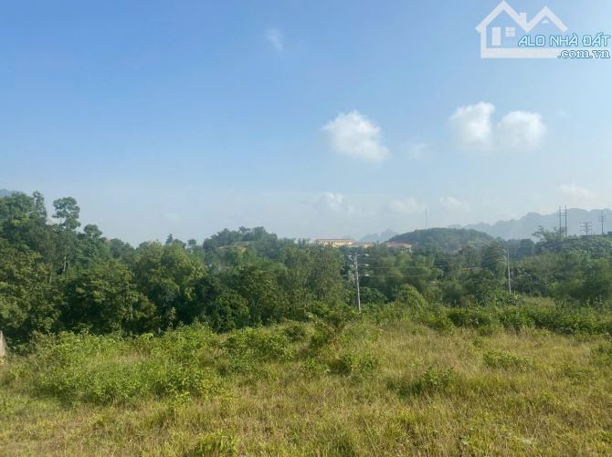 TẶNG 4000 M ĐẤT VƯỜN NGOÀI SỔ KHI MUA : 6000 M 0TN 400 M LƯƠNG SƠN       HÒA BÌNH  - GIÁ C - 2