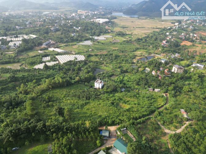 Cắt lỗ! lô đất 7700m mặt đường 200m tại khu làng châu âu- yên bình giá chỉ vài triệu - 2
