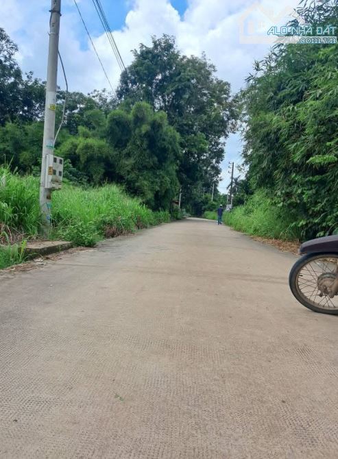 Chủ cần tiền cho con du học bán gấp đất 5x30 An Điền nhựa thông chỉ 1tỷ350 - 2