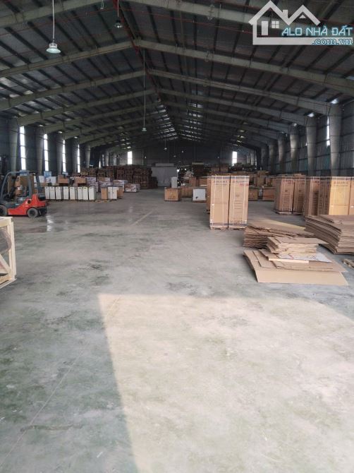 Cho thuê 3 kho xưởng Cần Giuộc Long An , 1 k: 3.000m2 (2 kho: 5.500m2) - 2