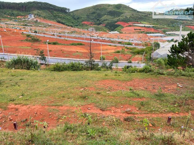 ✨ HẠ GIÁ BÁN NHANH ĐẤT Ở LIỀN KỀ MẶT TIỀN BI DOUP – VIEW RỪNG THÔNG, THUNG LŨNG SIÊU ĐẸP ✨ - 2
