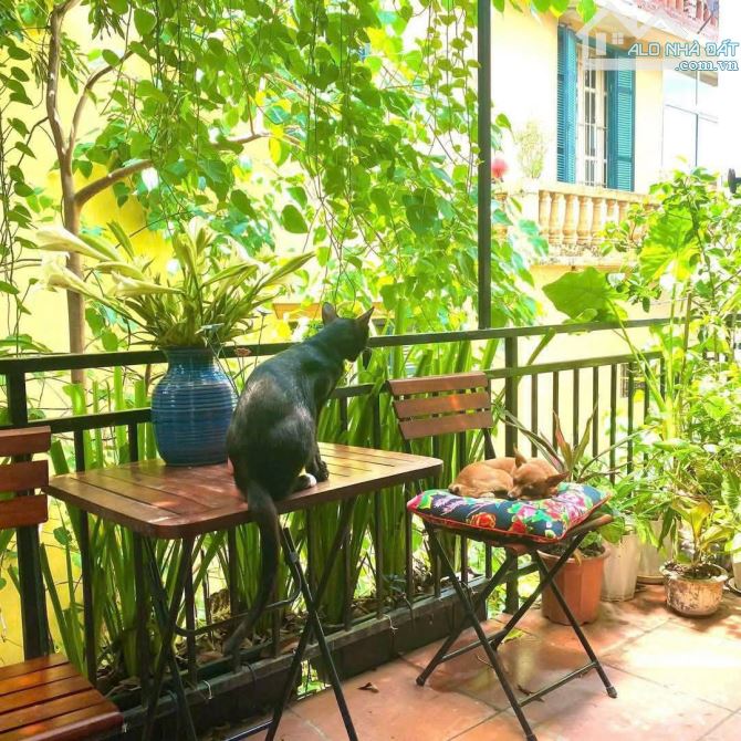 HOT HOT HOT – BIỆT THỰ PHỐ ĐẶNG TẤT – LÔ GÓC 3 THOÁNG – VINTAGE ĐẲNG CẤP - 2